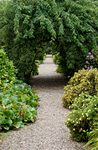 Irish Countryside Gardens (Benvarden) - Croft Cottage Holidays